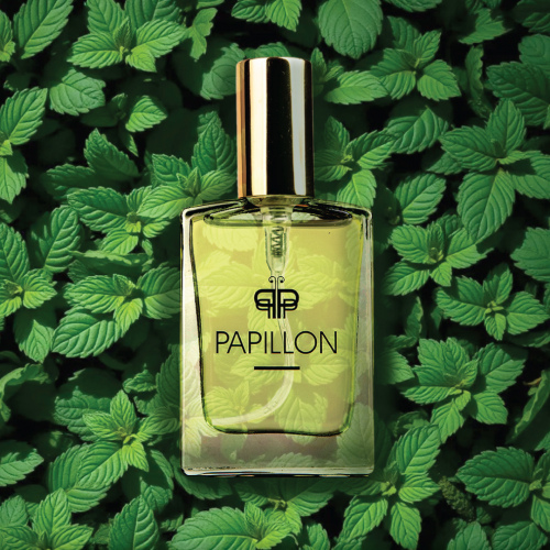 Empire 100 ml